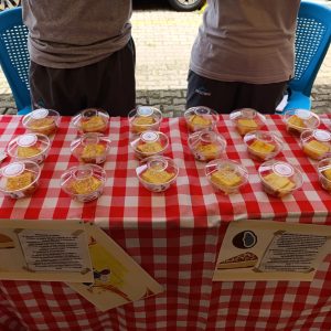 Feria-emprendimiento25 (3)