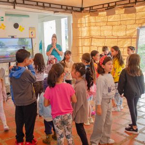 VBS25 (1)